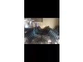chairs-for-restaurant-small-0